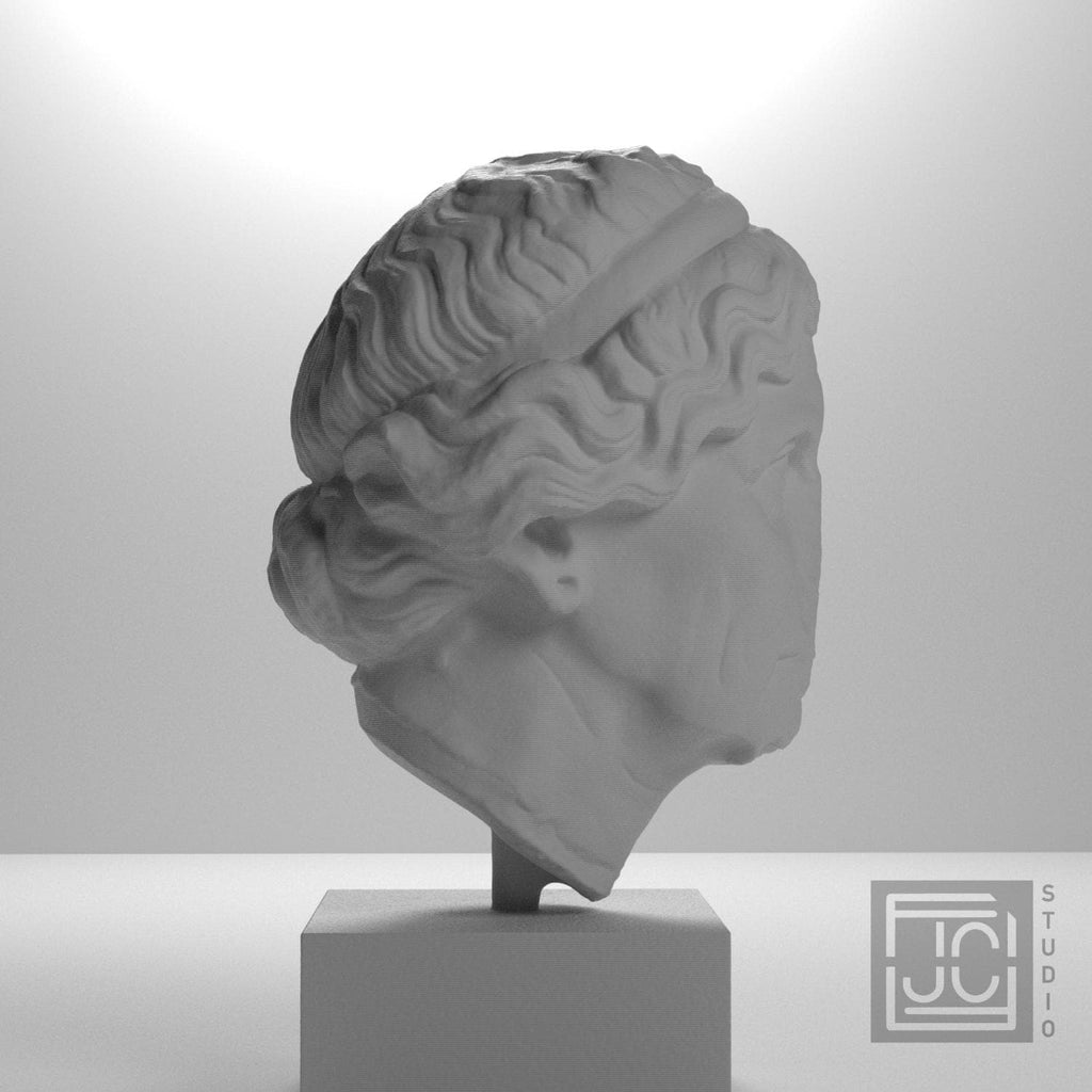 Lysimache (Elderly Woman) 3D Printed Collectible Bust