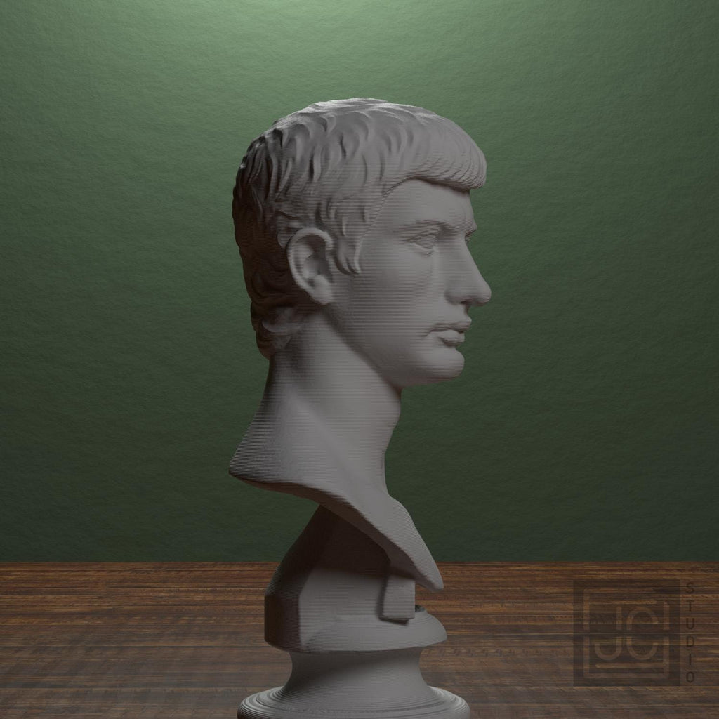Portrait of an Augustan Prince (Possibly Marcellus) 3D Printed Collectible Bust