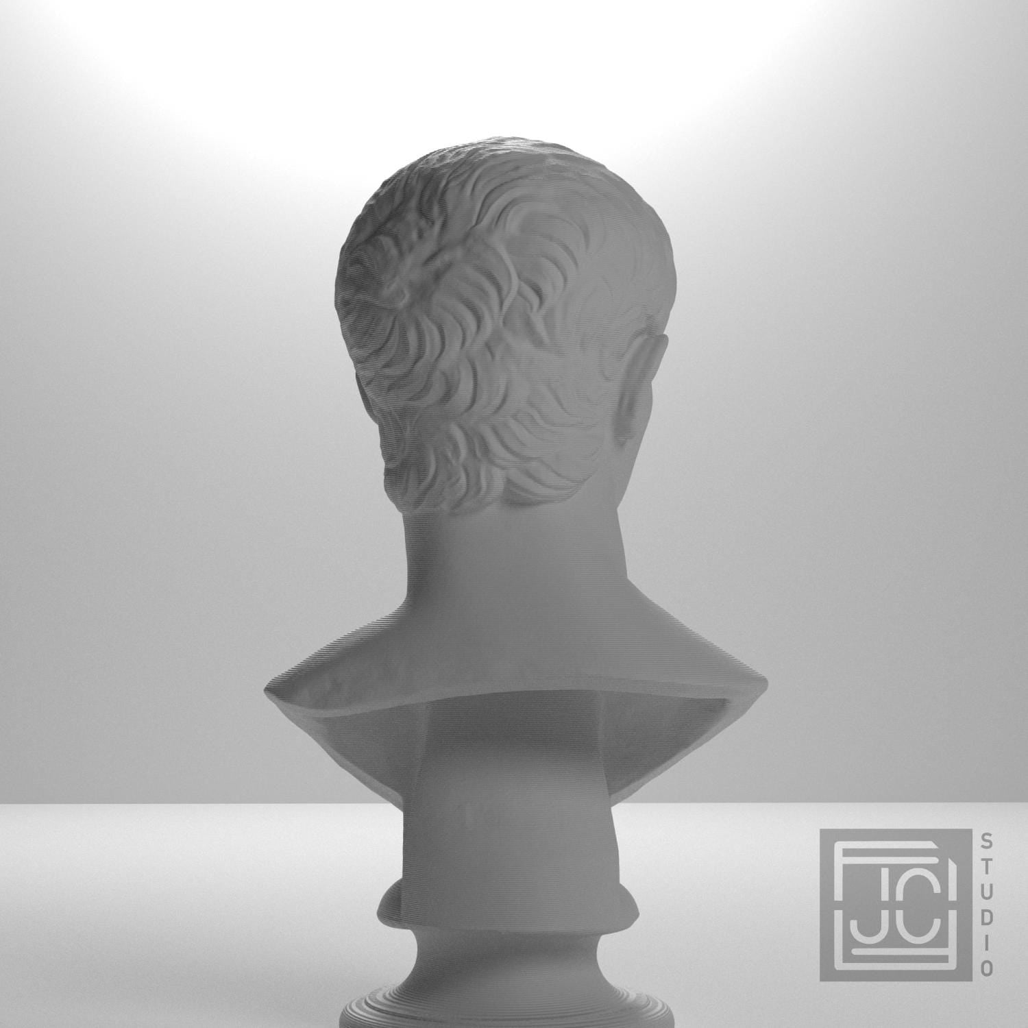 Portrait of an Augustan Prince (Possibly Marcellus) 3D Printed Collectible Bust