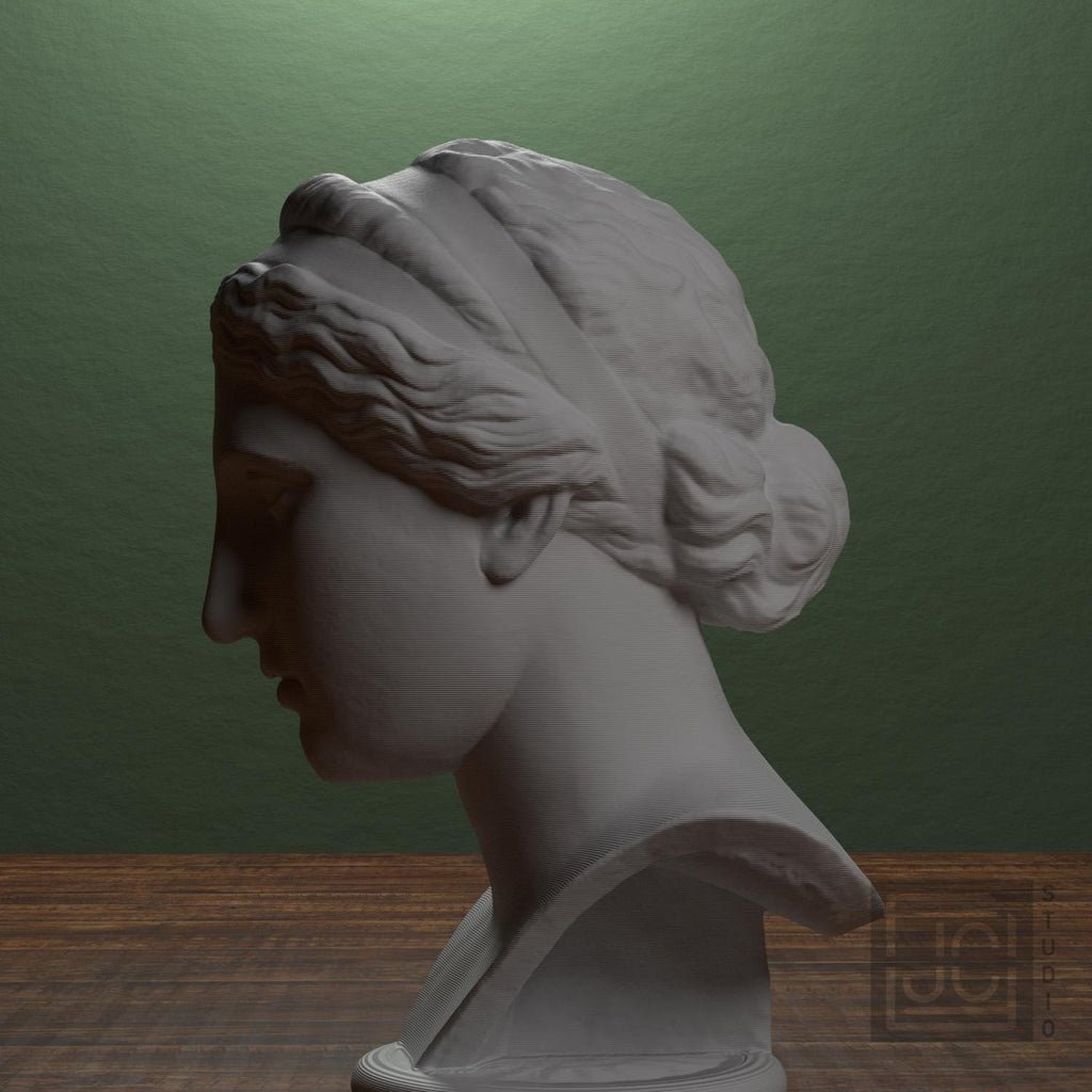 Nymph or Muse 3D Printed Collectible Bust