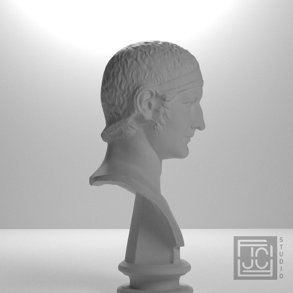 Drusus, Julio-Claudian Prince 3D Printed Collectible Bust