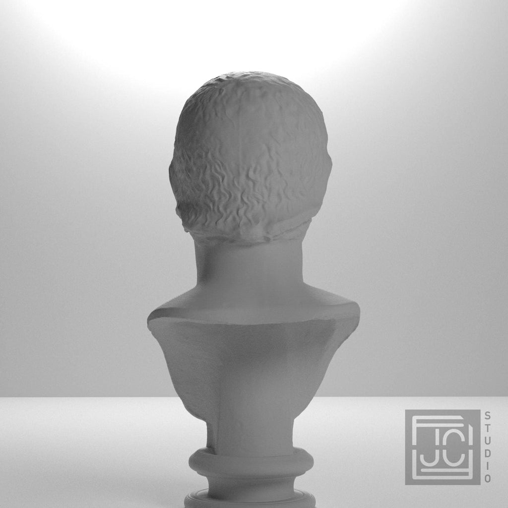 Drusus, Julio-Claudian Prince 3D Printed Collectible Bust