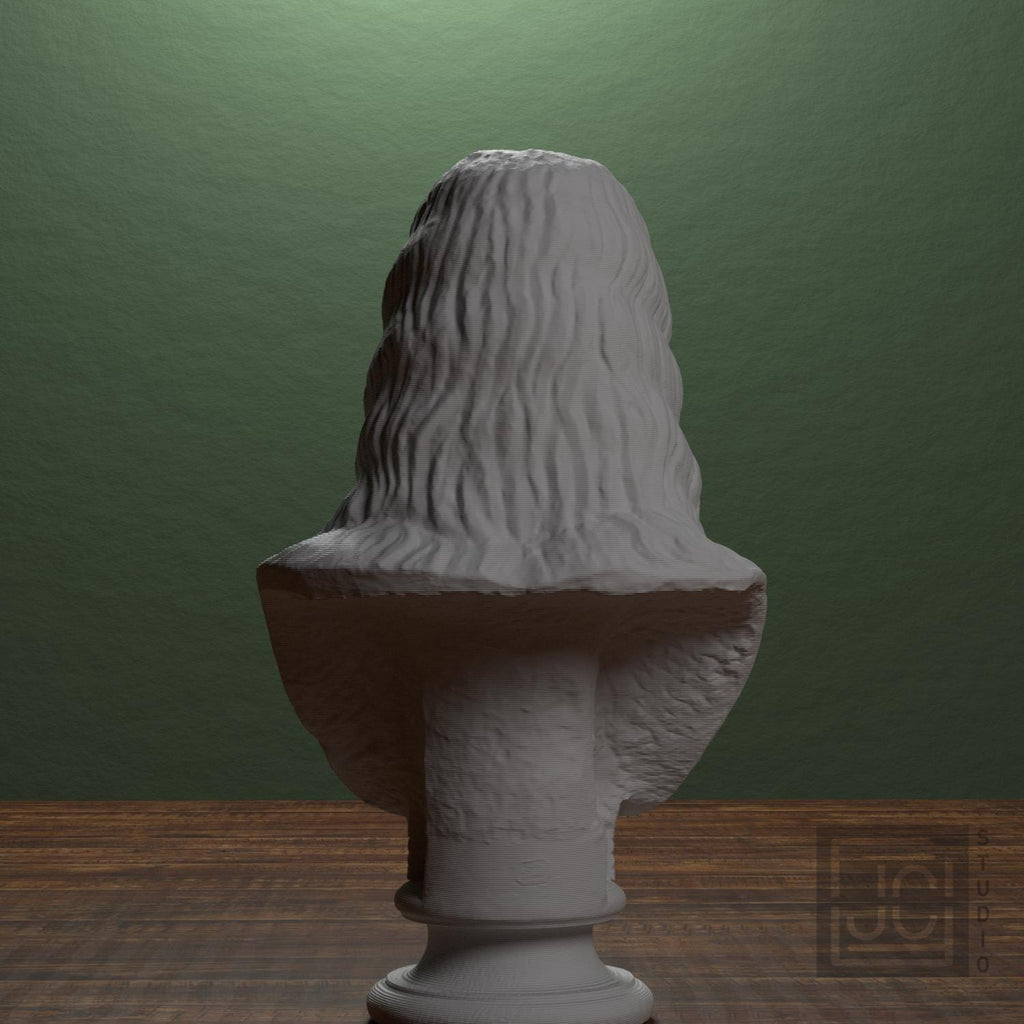 Barbarian Woman 3D Printed Collectible Bust