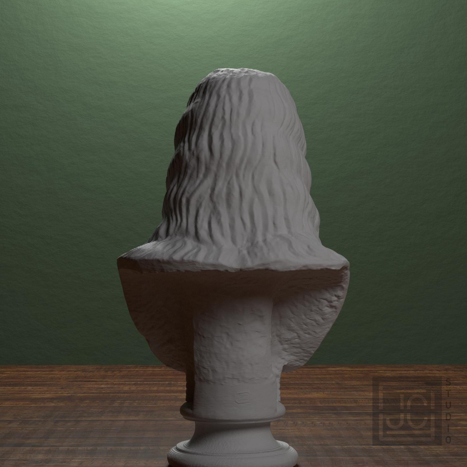 Barbarian Woman 3D Printed Collectible Bust