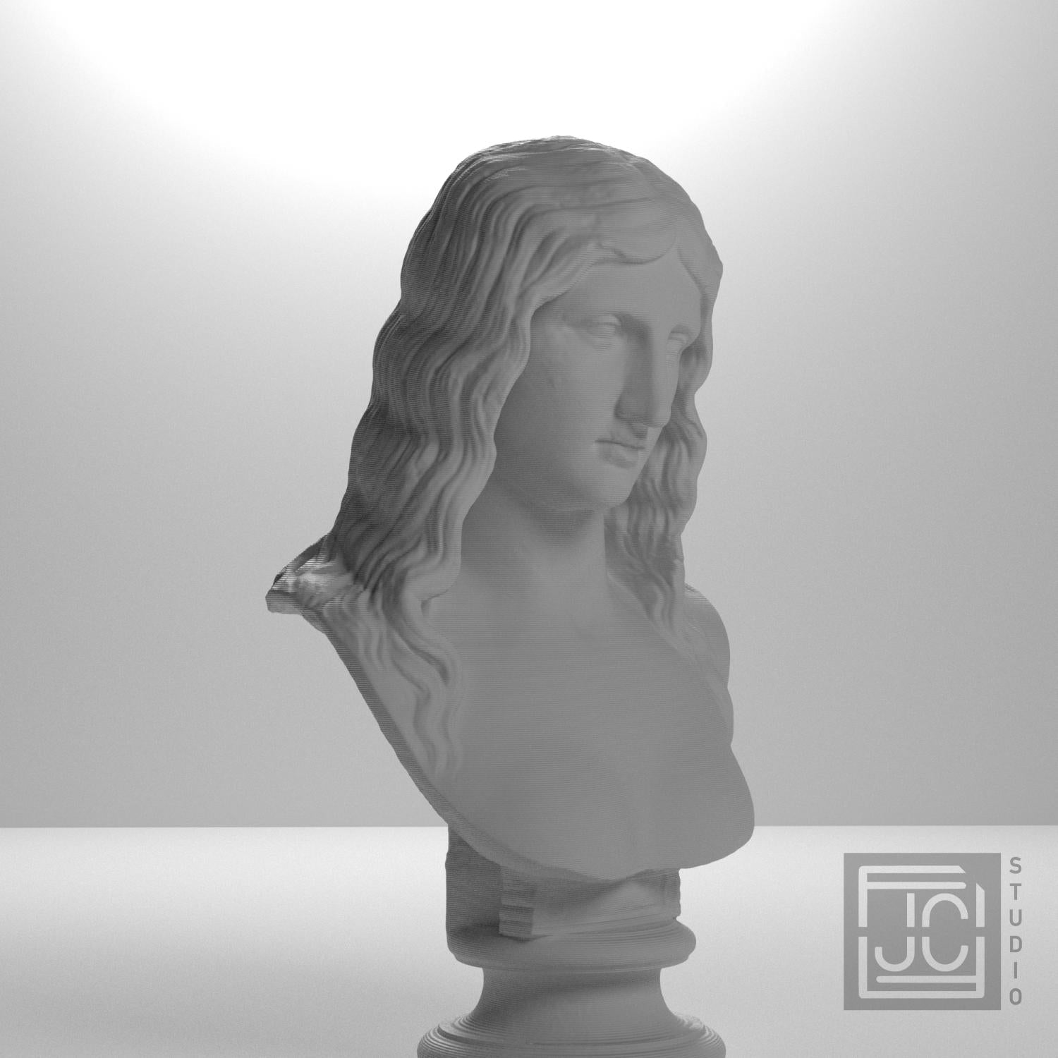 Barbarian Woman 3D Printed Collectible Bust