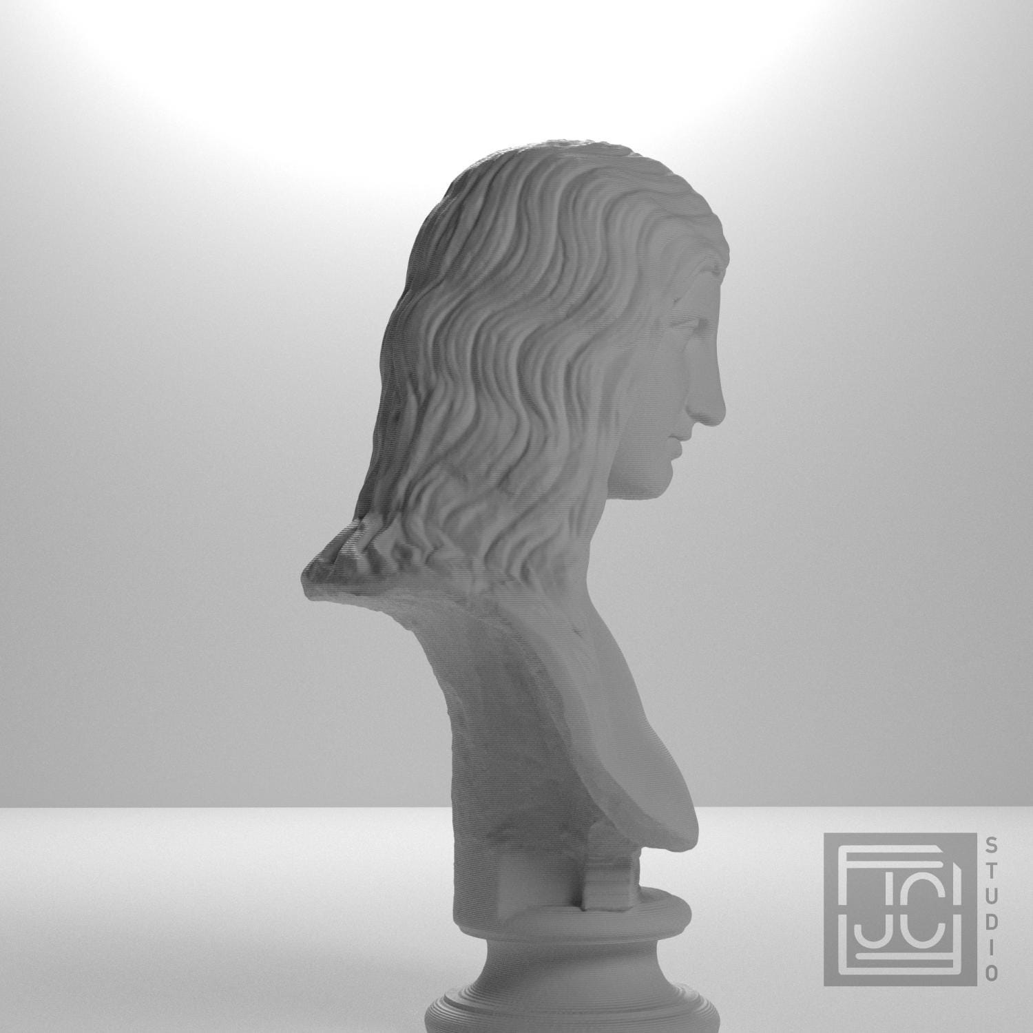 Barbarian Woman 3D Printed Collectible Bust