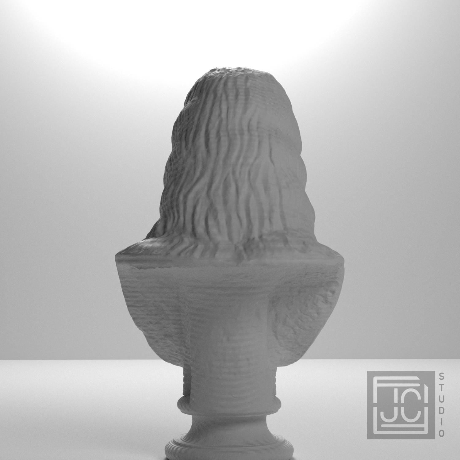 Barbarian Woman 3D Printed Collectible Bust