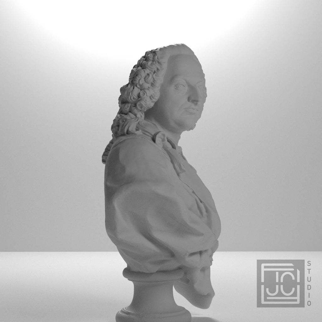 Martin Meytens the Younger 3D Printed Collectible Bust
