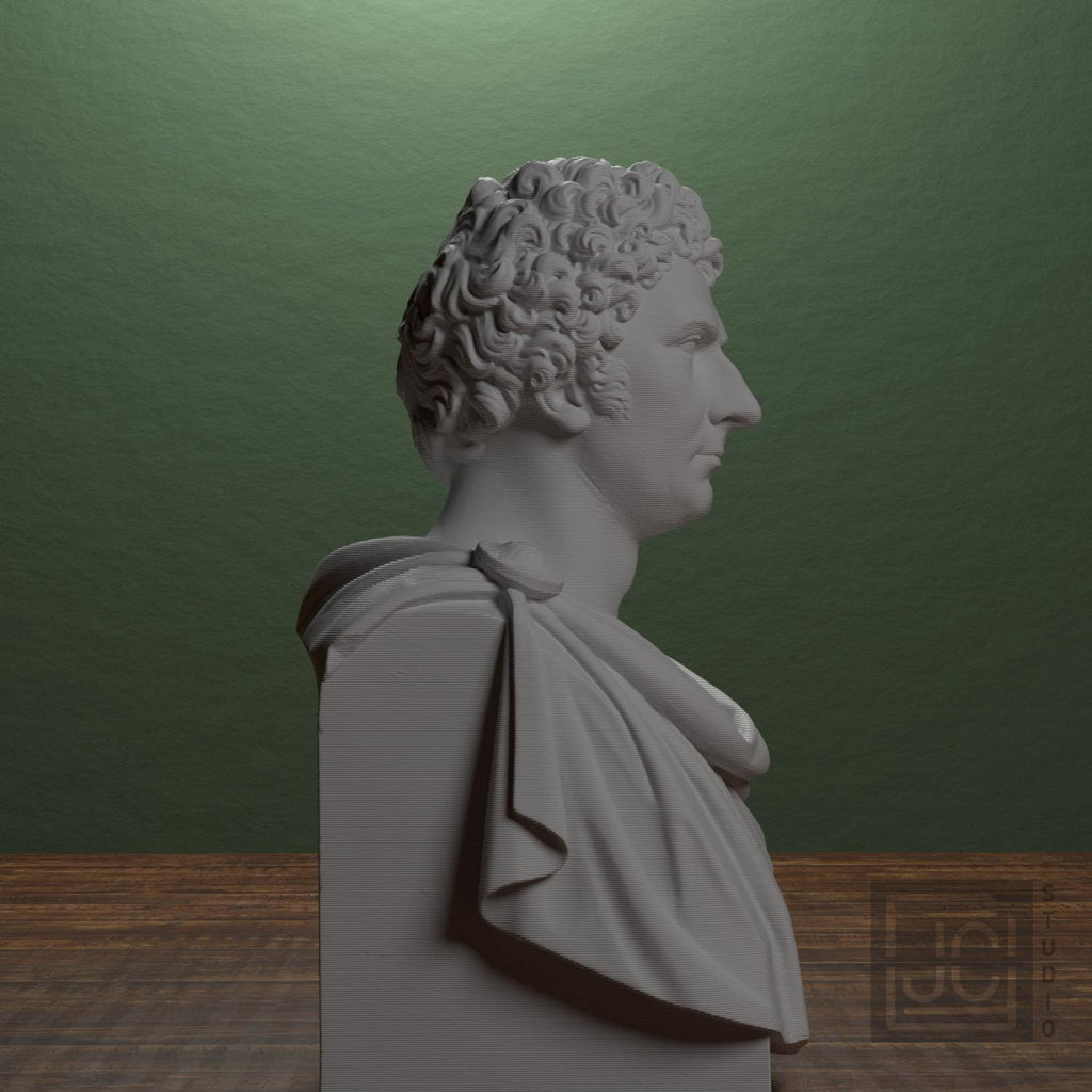 Carl XIV Johan 3D Printed Collectible Bust