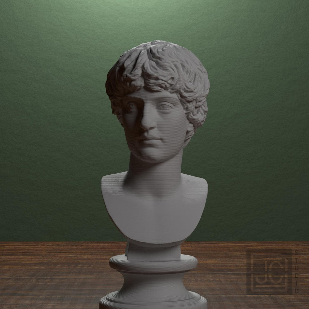 Portrait of a Man 3D Printed Museum Replica