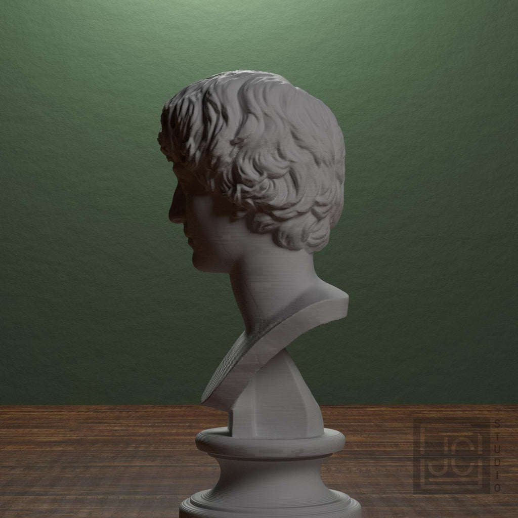 Portrait of a Man 3D Printed Museum Replica