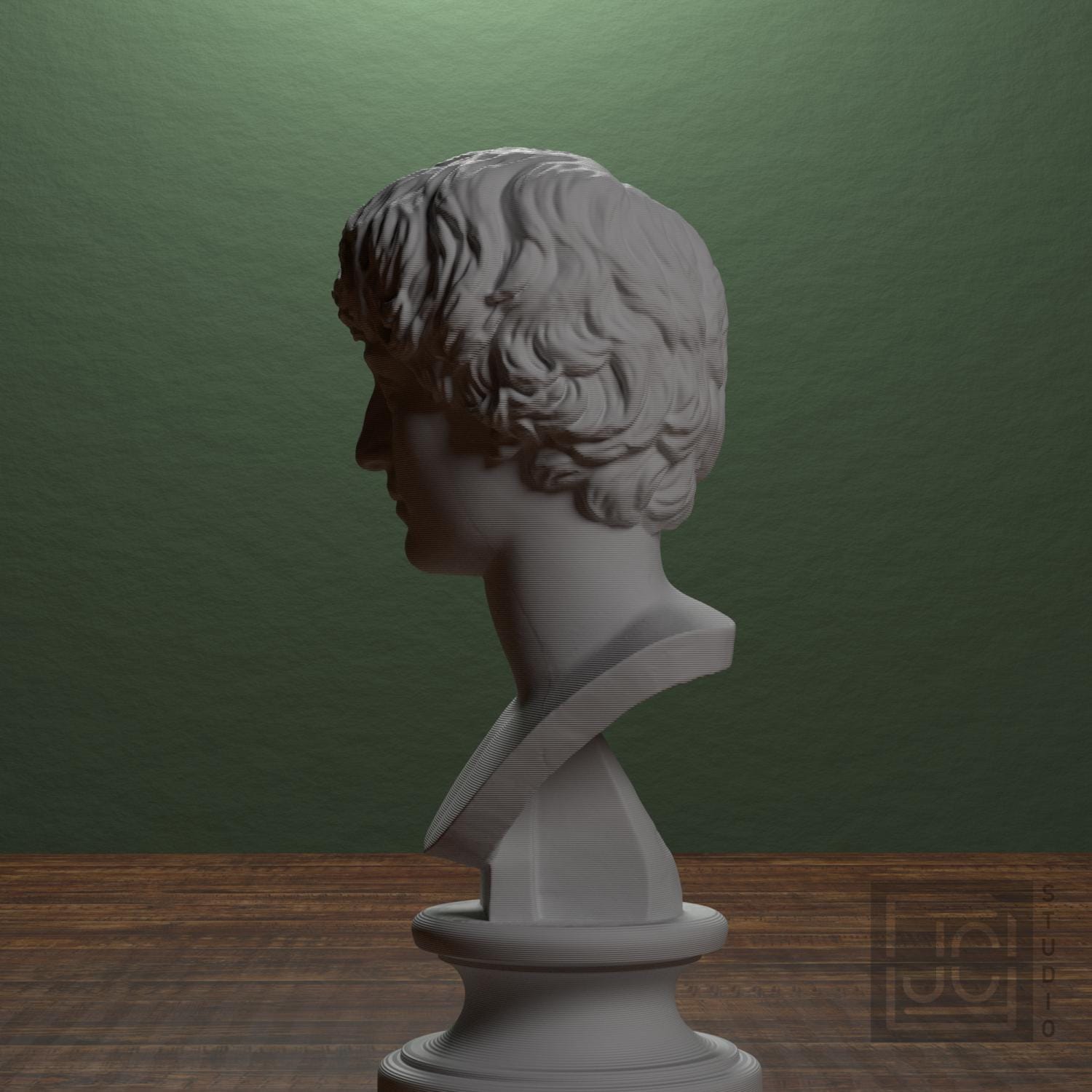 Portrait of a Man 3D Printed Museum Replica