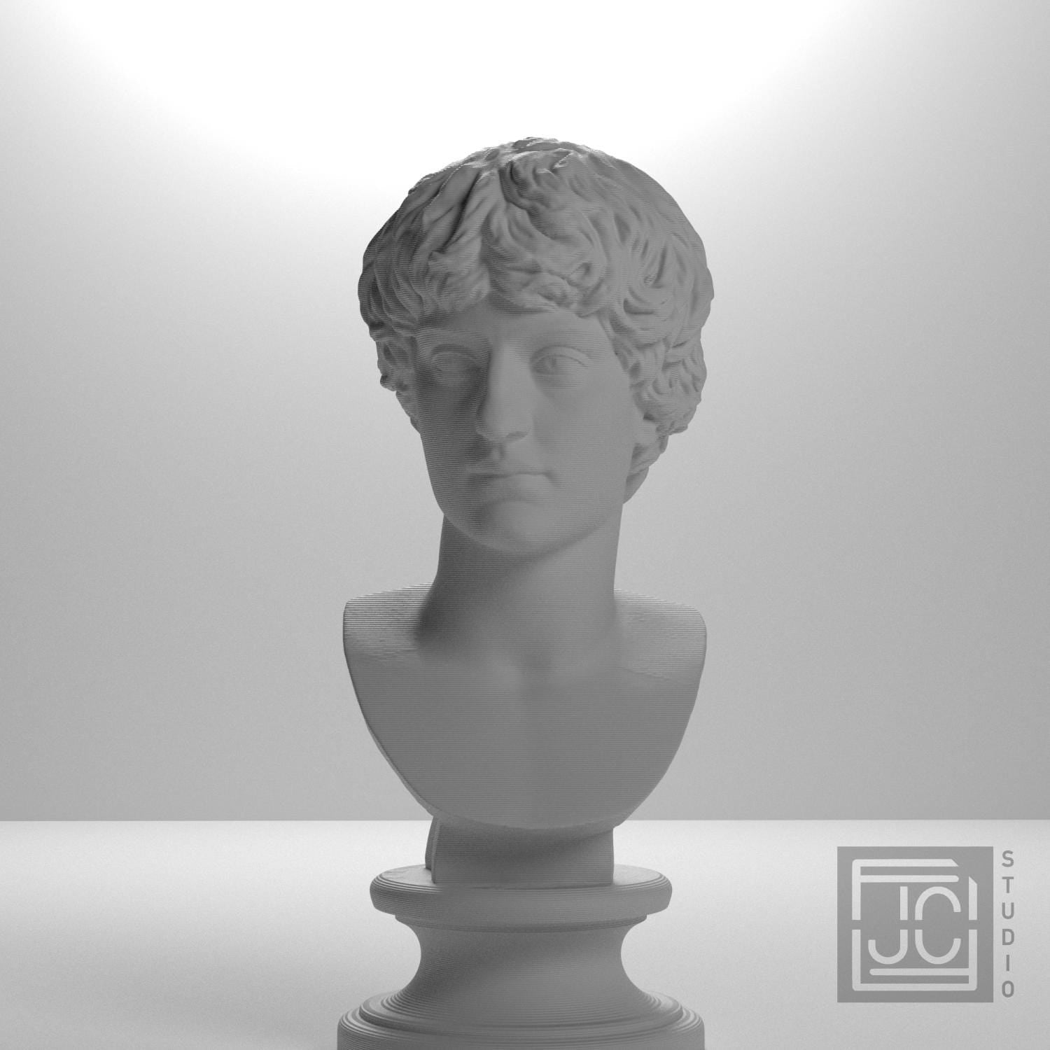 Portrait of a Man 3D Printed Museum Replica