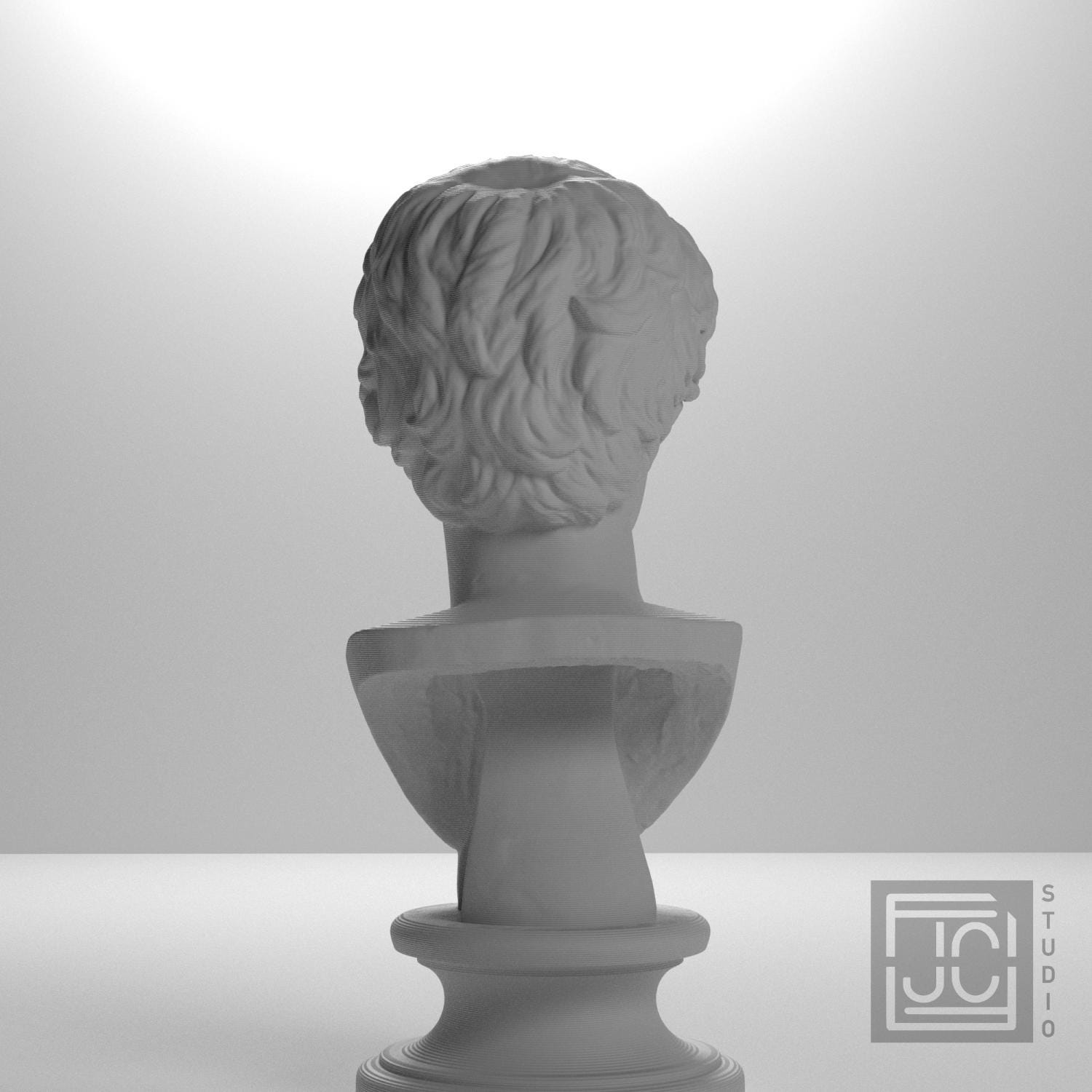 Portrait of a Man 3D Printed Museum Replica
