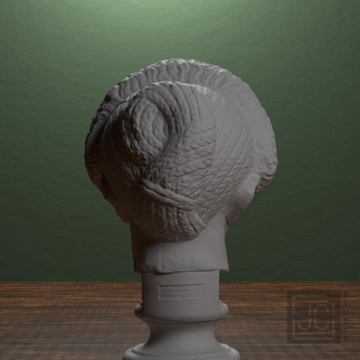 Flavian Woman Young Giulia 3D Printed Collectible Bust
