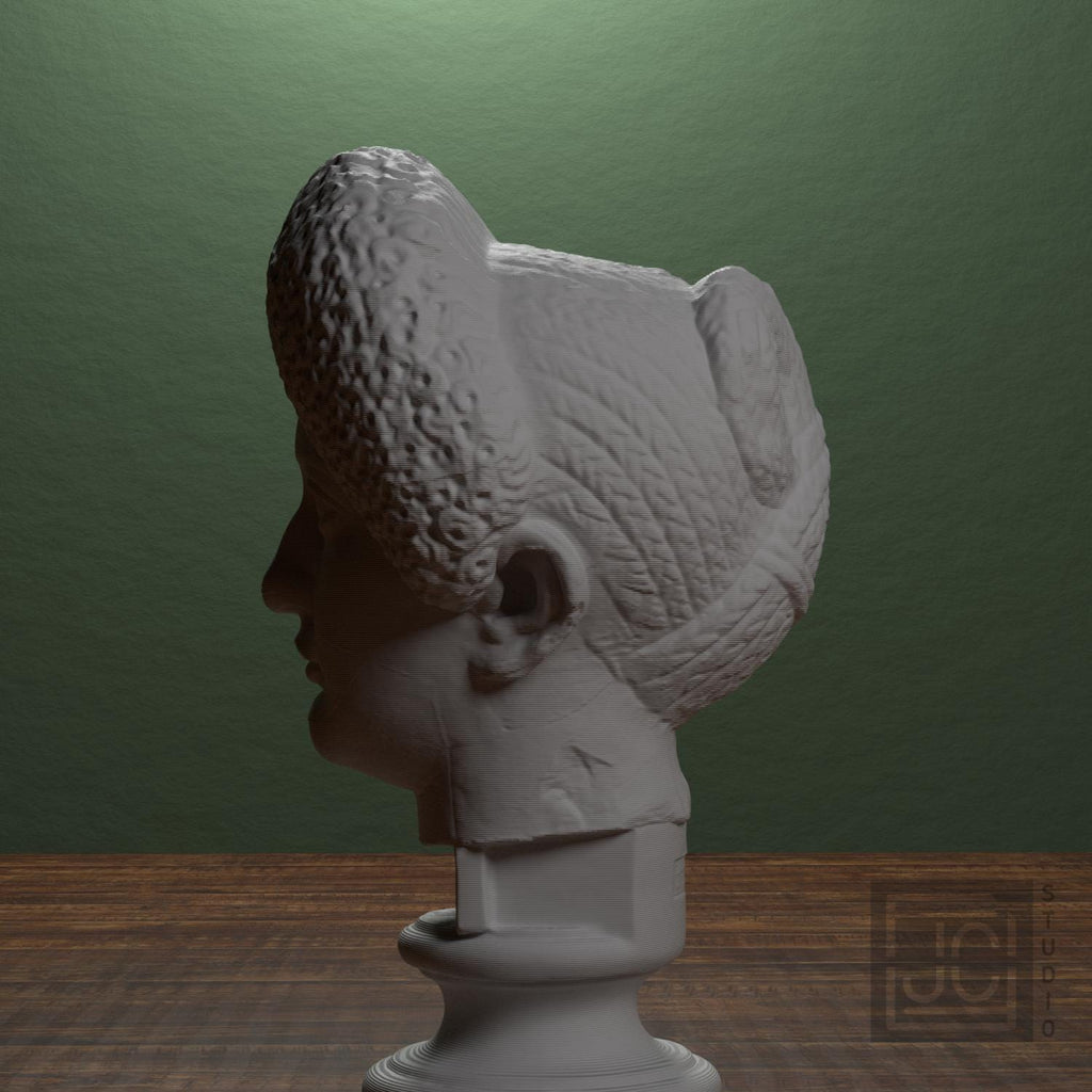 Flavian Woman Young Giulia 3D Printed Collectible Bust