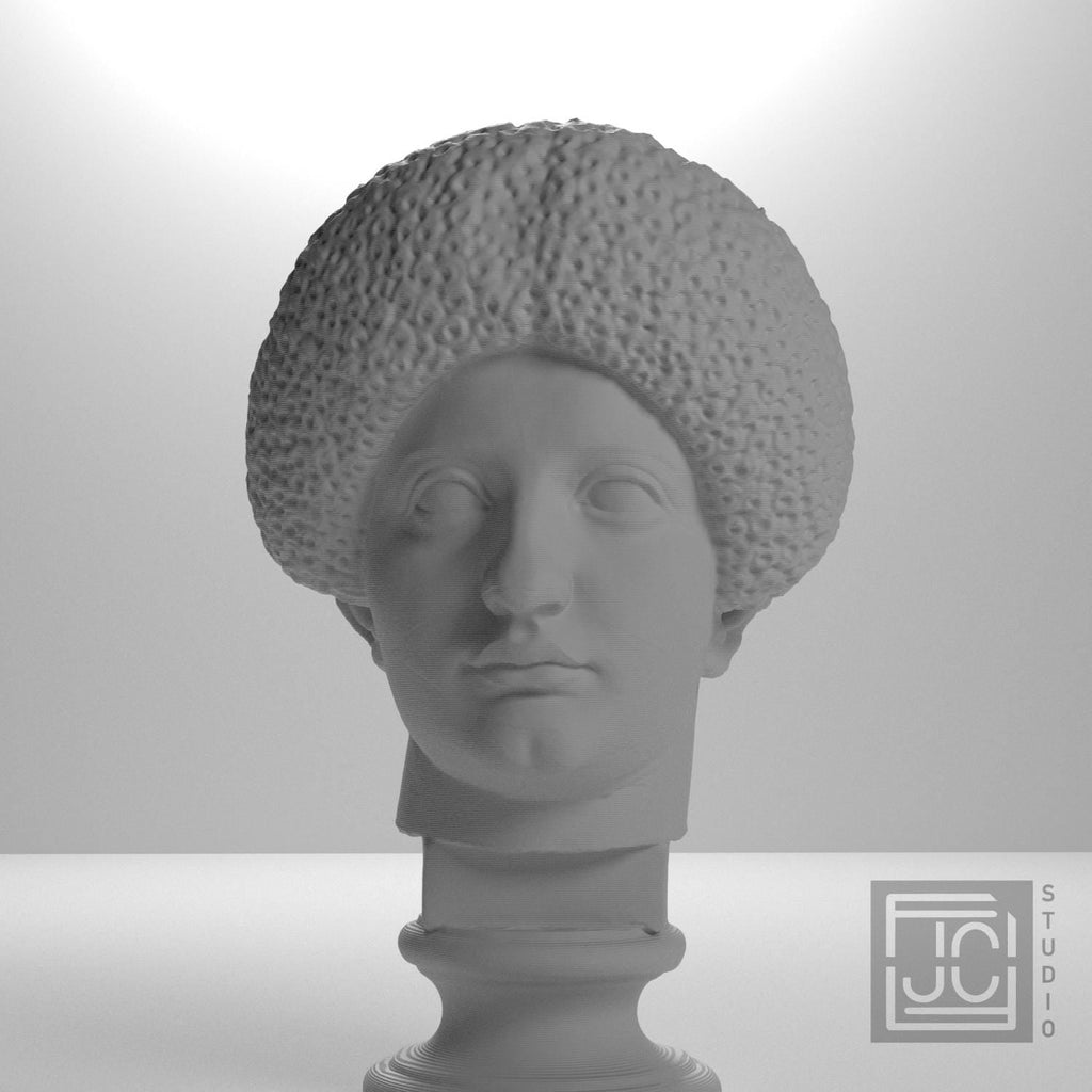 Flavian Woman Young Giulia 3D Printed Collectible Bust