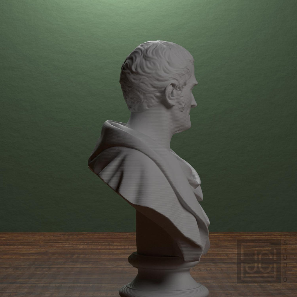 Pehr Henrik Ling 3D Printed Collectible Bust