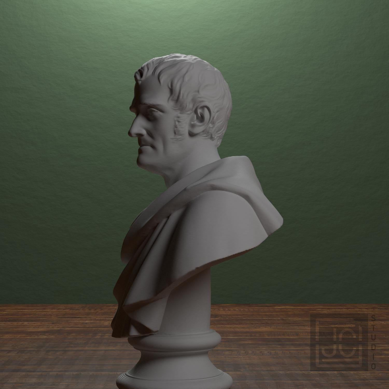 Pehr Henrik Ling 3D Printed Collectible Bust