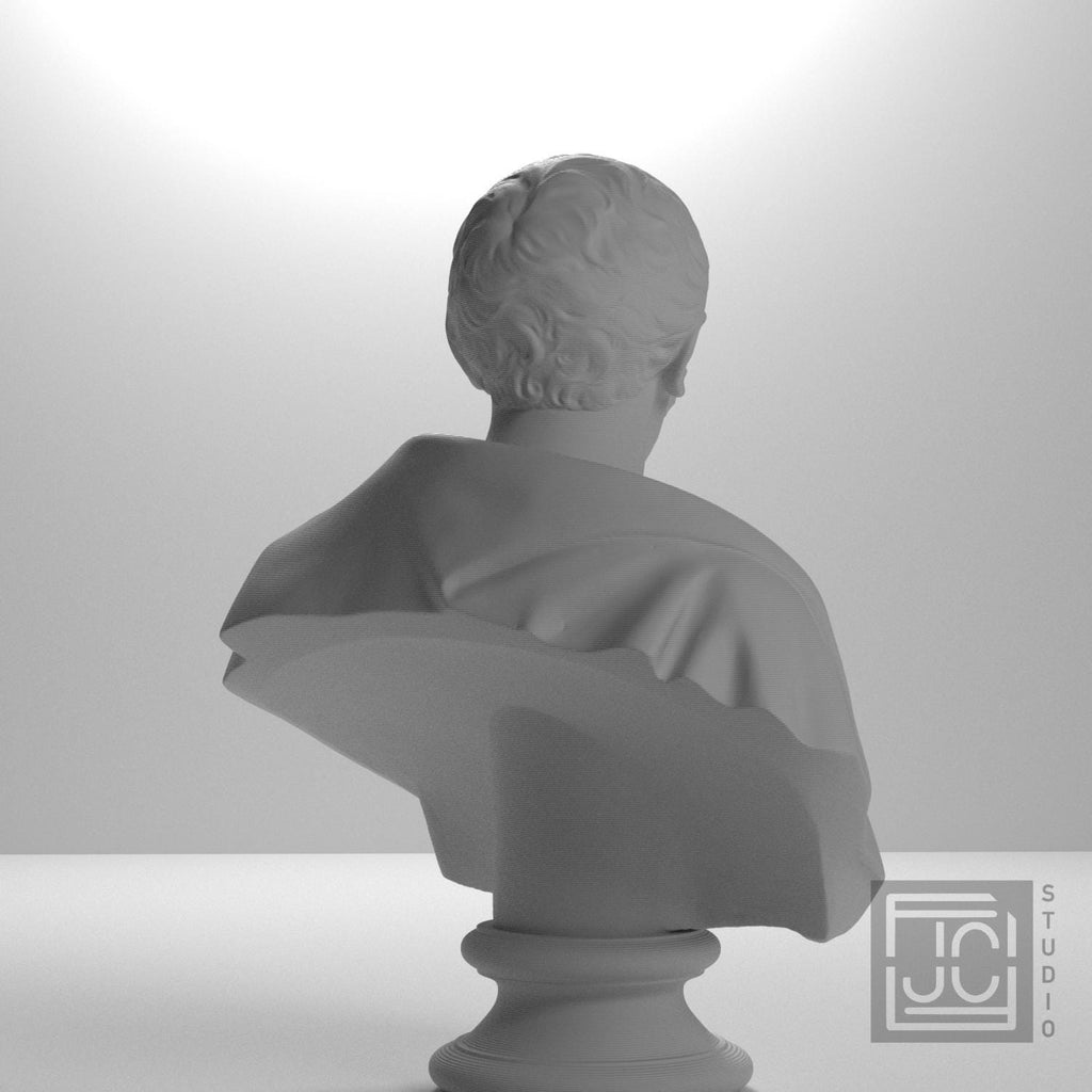 Pehr Henrik Ling 3D Printed Collectible Bust