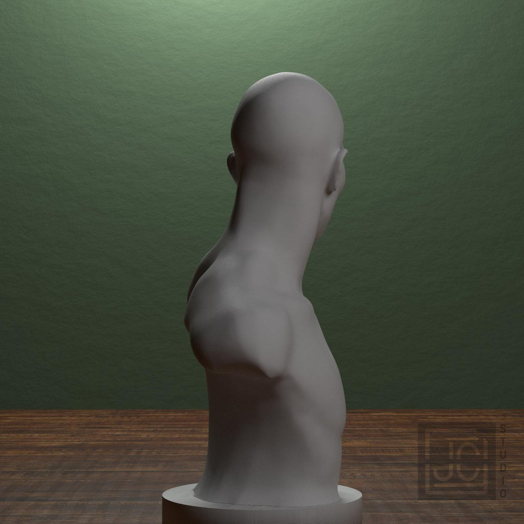 Emil Andreasen, The Boxer 3D Printed Collectible Bust