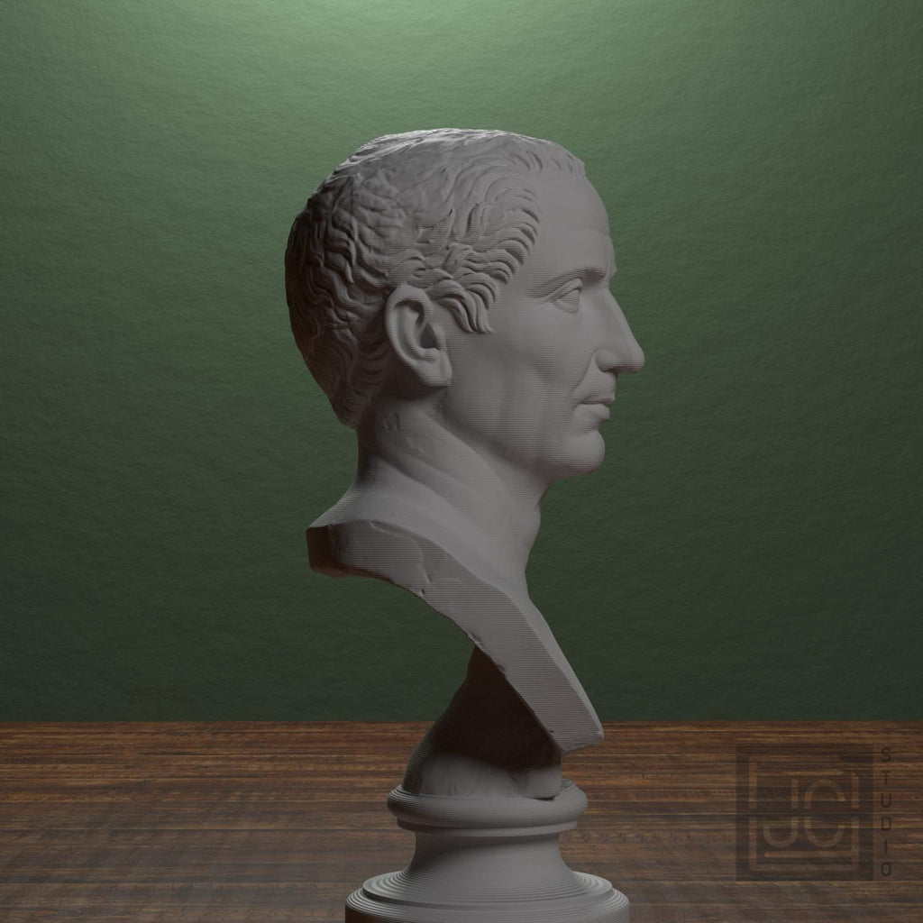 Farnese Caesar 3D Printed Collectible Bust