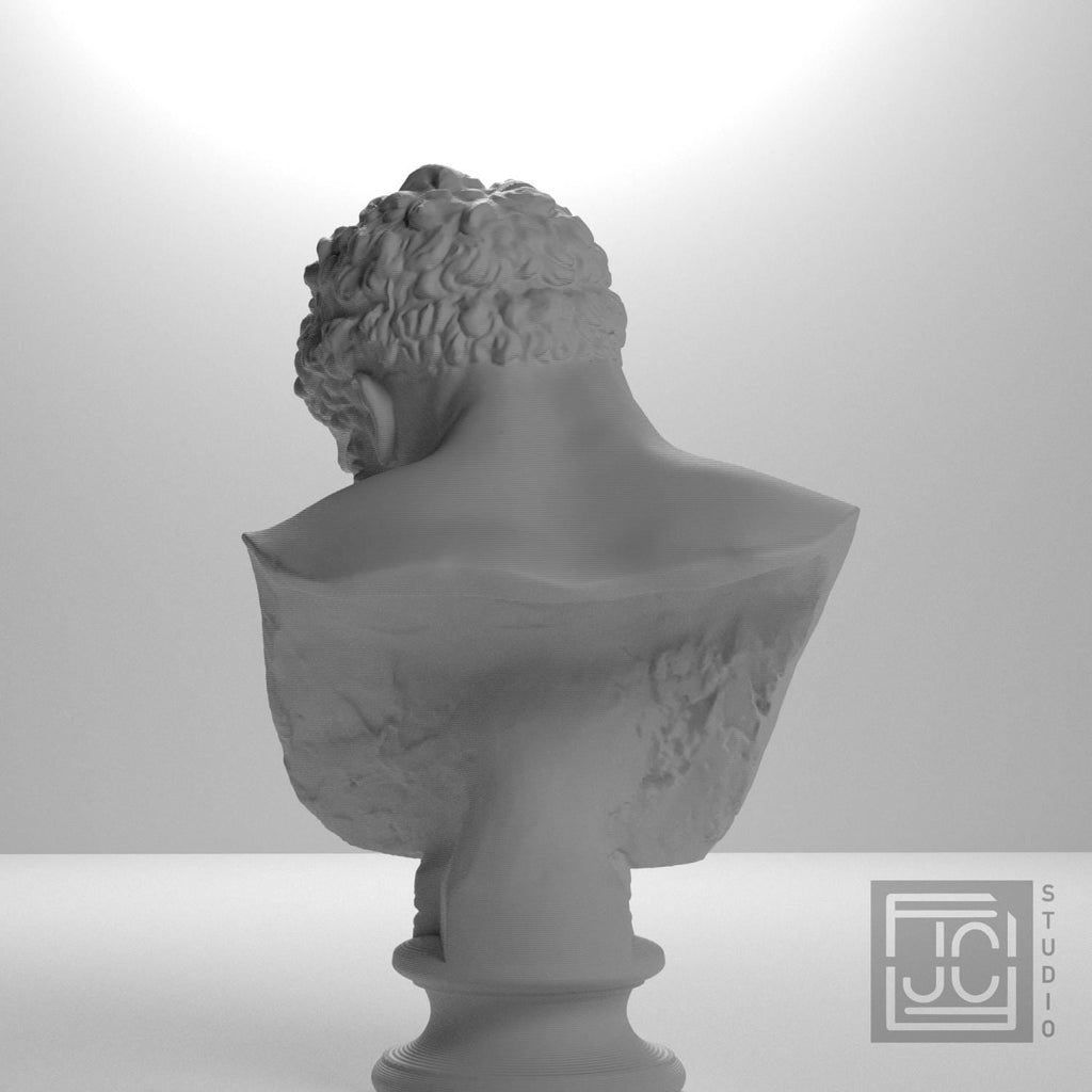 Farnese Hercules 3D Printed Collectible Bust