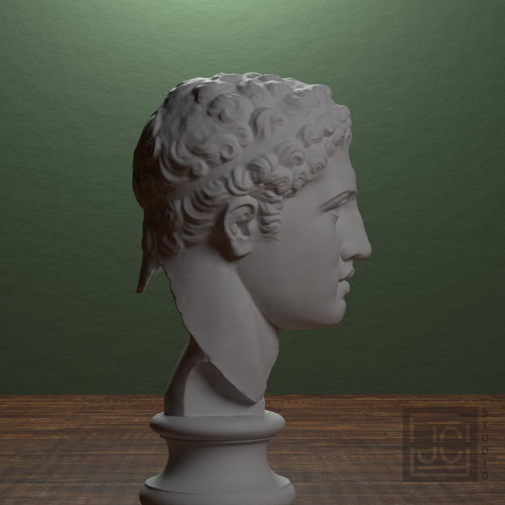 Fragmentary Head of Hercules 3D Printed Collectible Bust