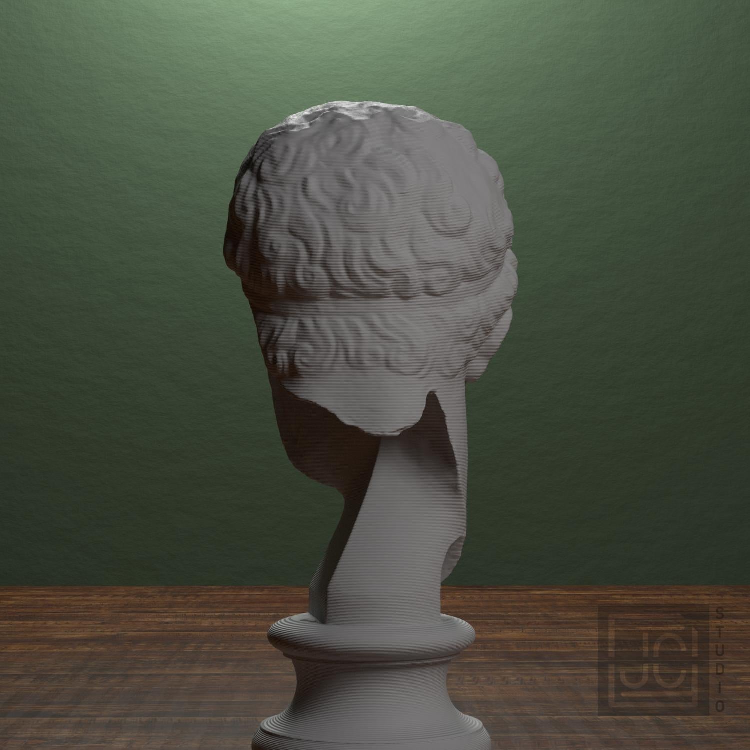 Fragmentary Head of Hercules 3D Printed Collectible Bust