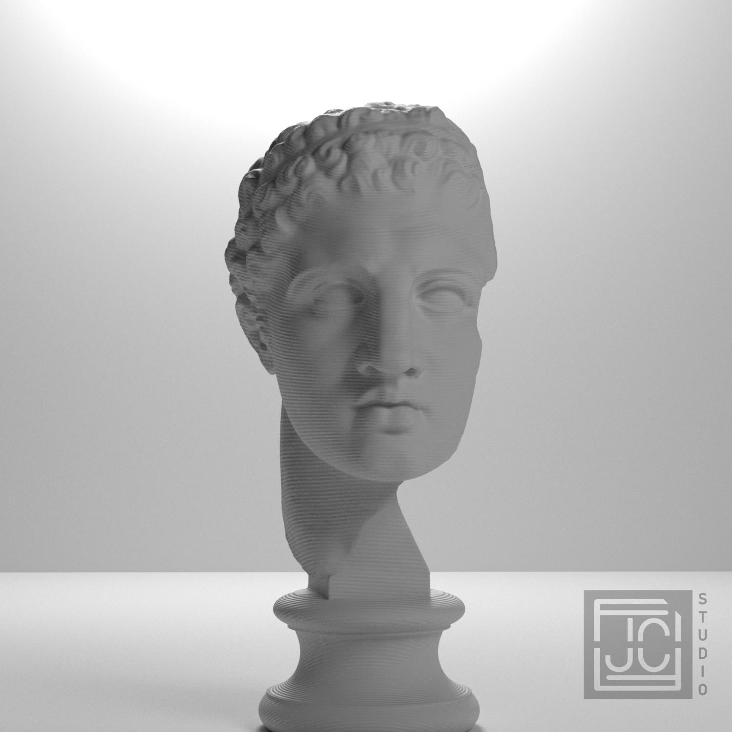 Fragmentary Head of Hercules 3D Printed Collectible Bust
