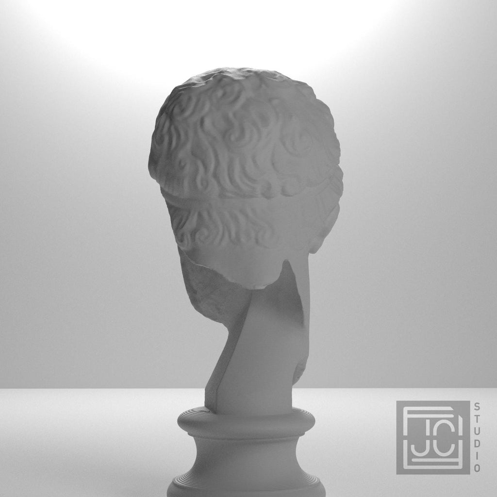 Fragmentary Head of Hercules 3D Printed Collectible Bust