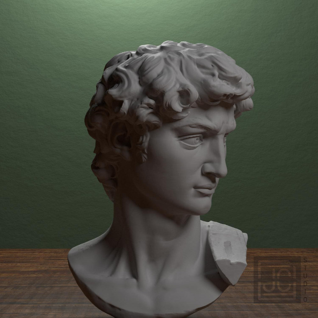 Michelangelo's David Head 3D Printed Museum Replica