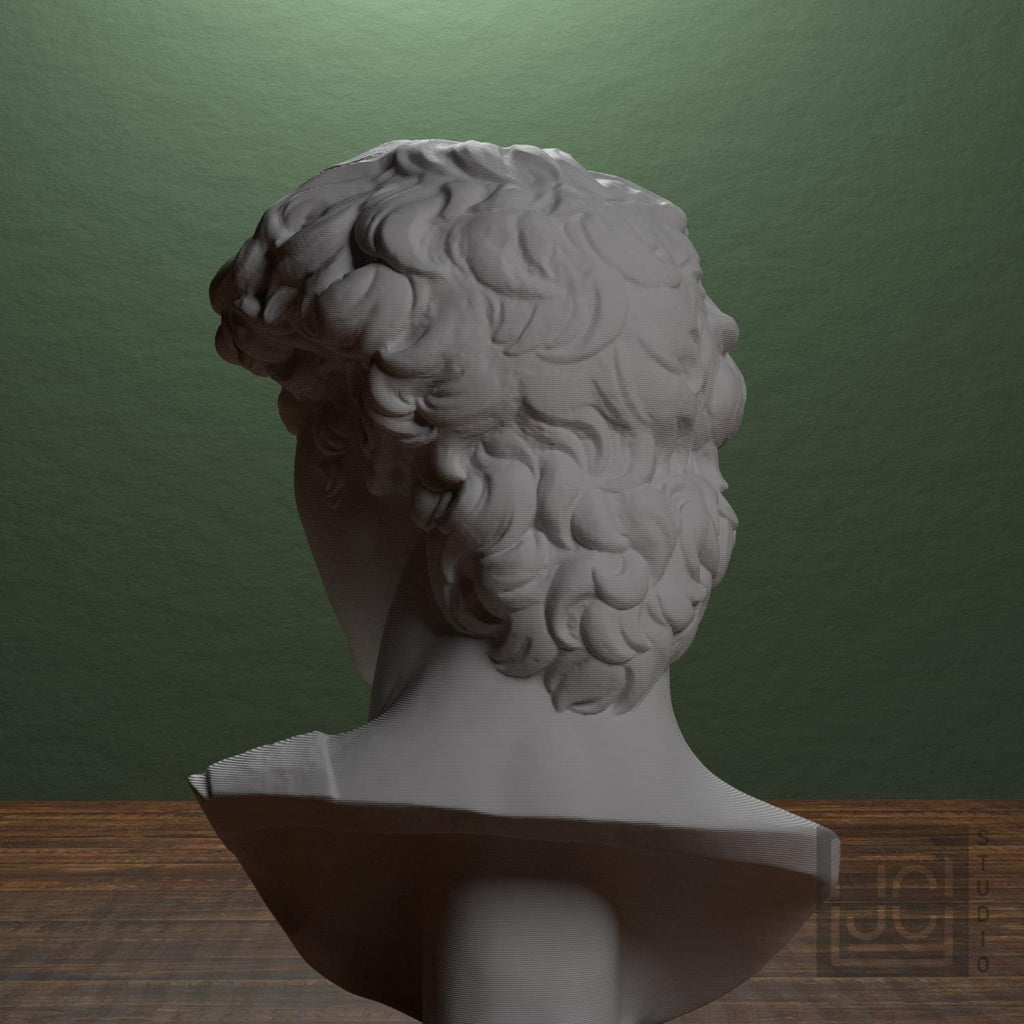 Michelangelo's David Head 3D Printed Museum Replica