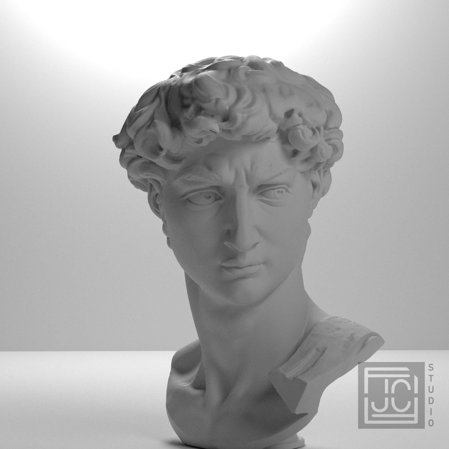 Michelangelo's David Head 3D Printed Museum Replica