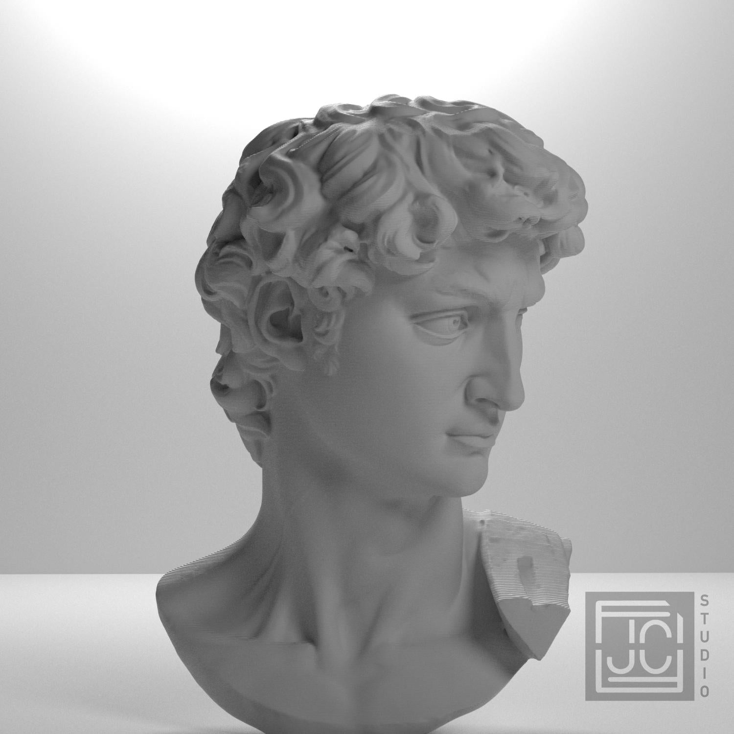 Michelangelo's David Head 3D Printed Museum Replica