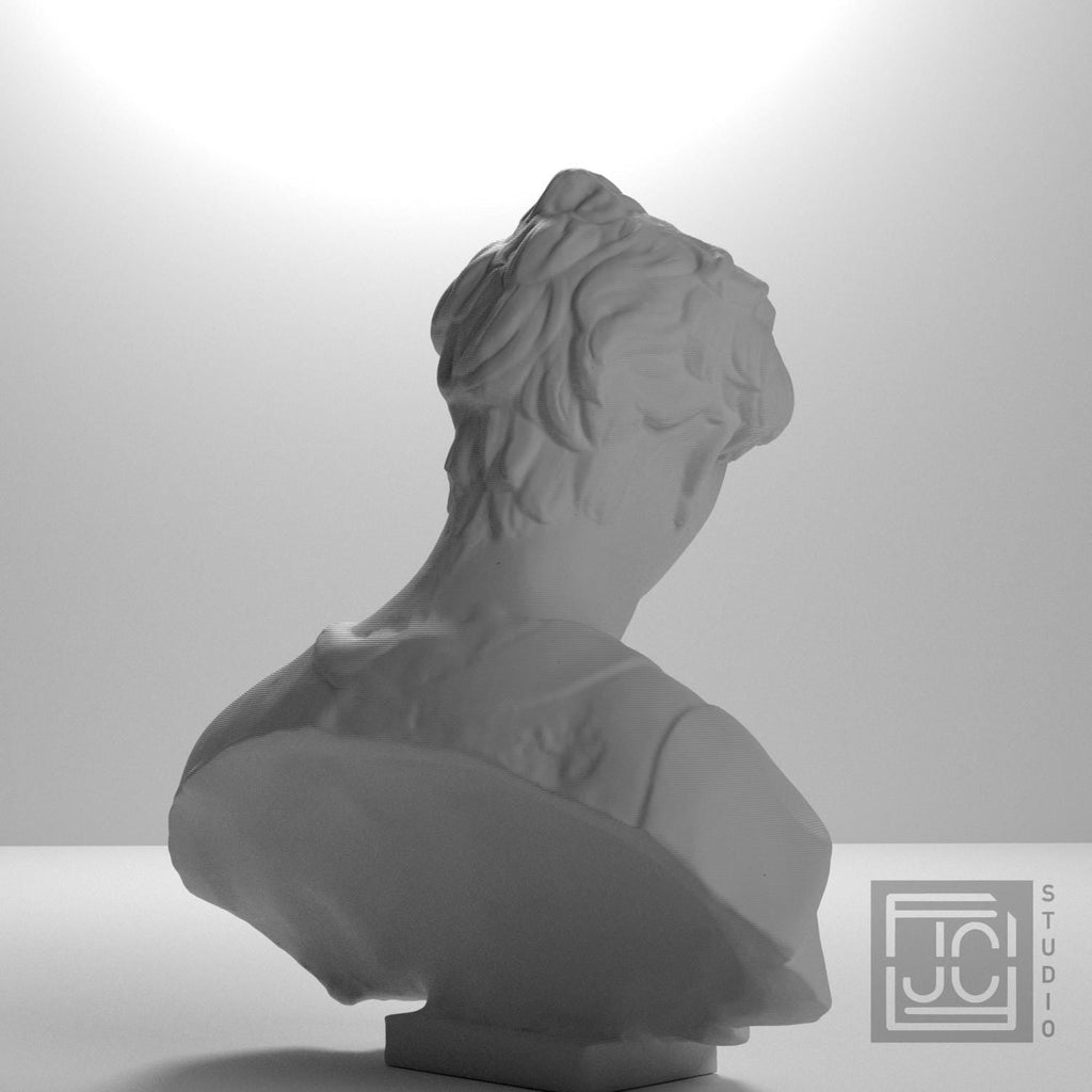 John the Baptist 3D Printed Collectible Bust
