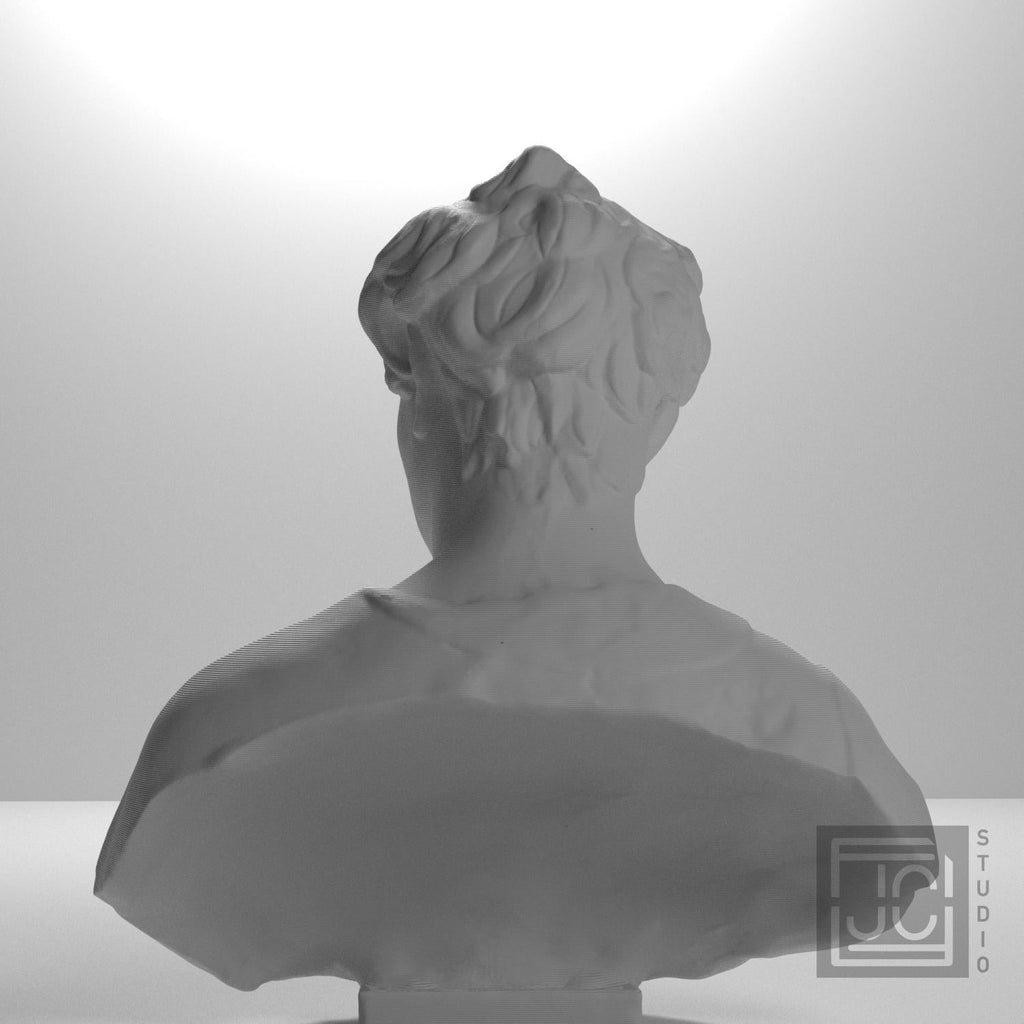 John the Baptist 3D Printed Collectible Bust