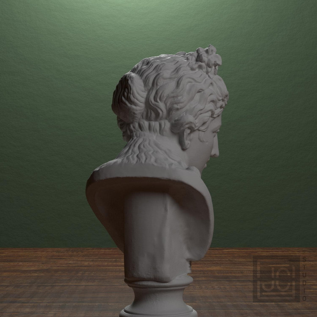 Museum Woman Portrait II 3D Printed Collectible Bust