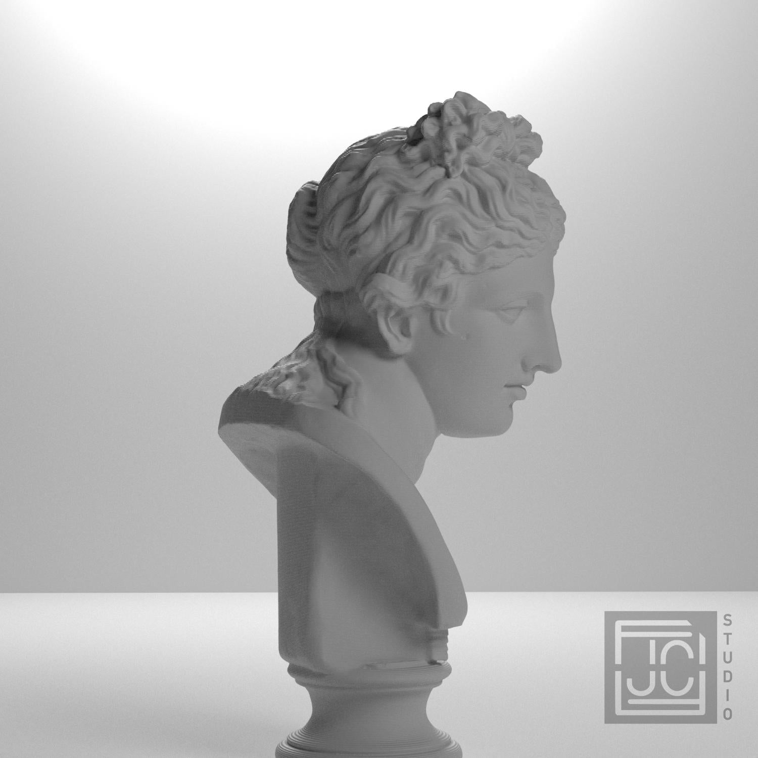 Museum Woman Portrait II 3D Printed Collectible Bust