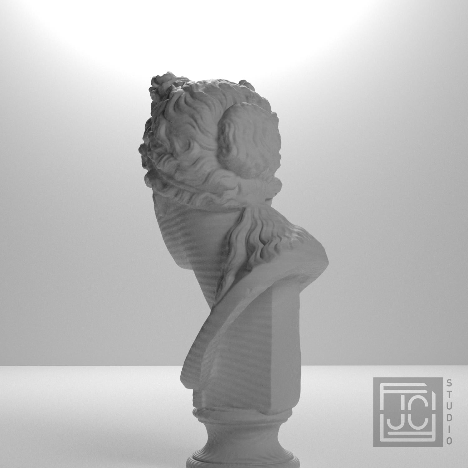 Museum Woman Portrait II 3D Printed Collectible Bust