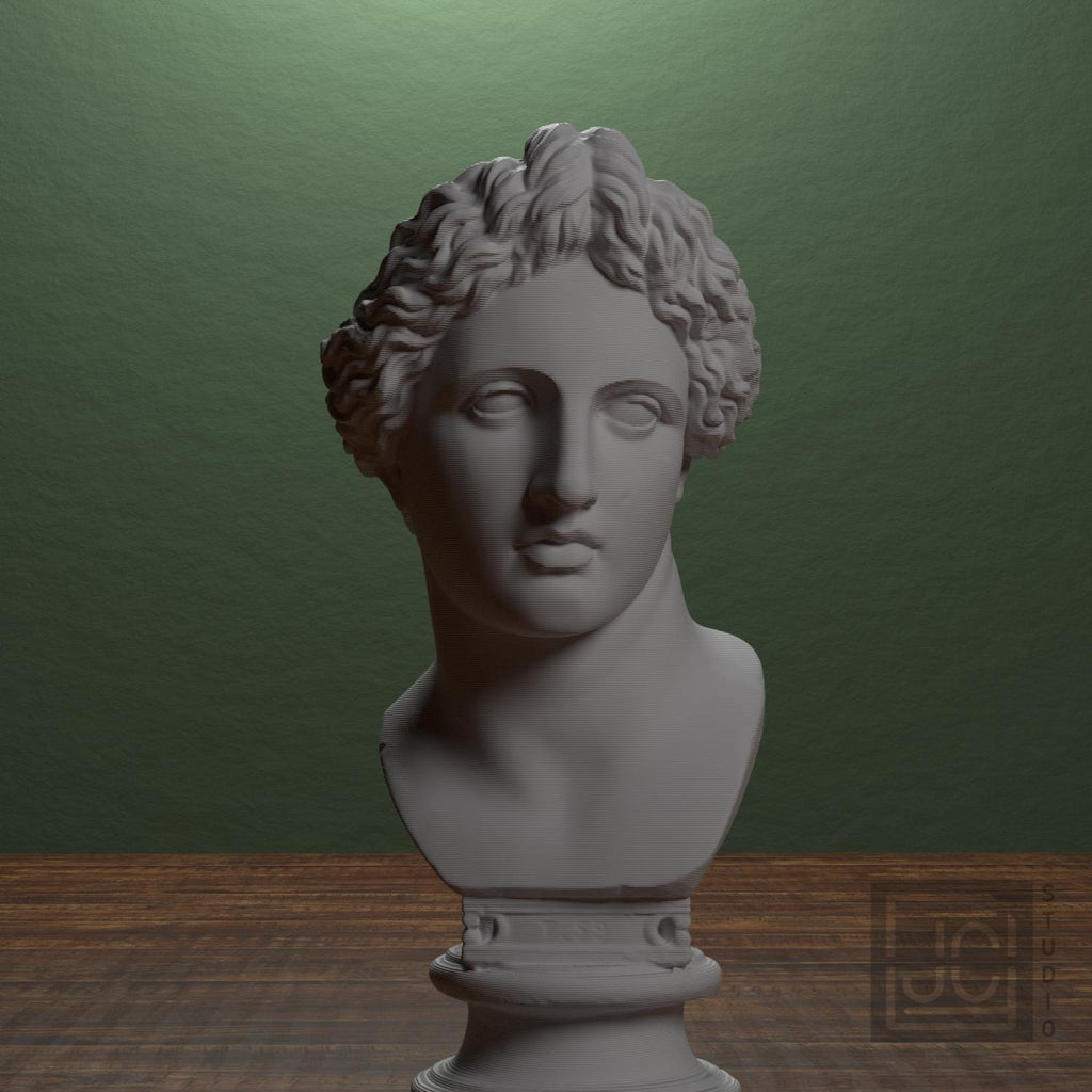 Apollo Lykeios 3D Printed Collectible Bust