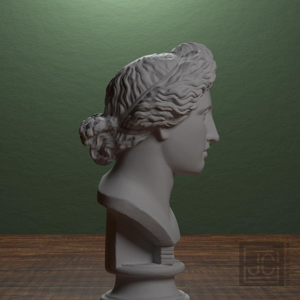 Apollo Lykeios 3D Printed Collectible Bust