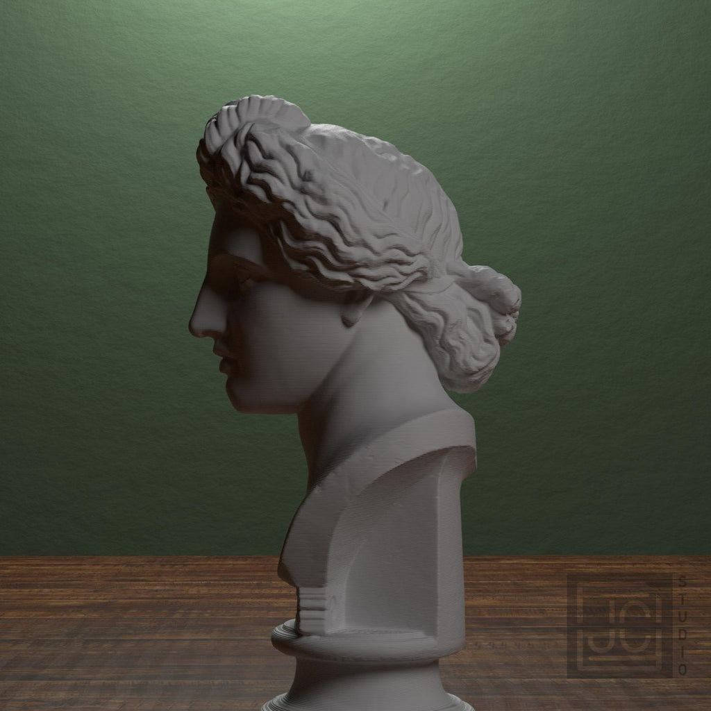 Apollo Lykeios 3D Printed Collectible Bust