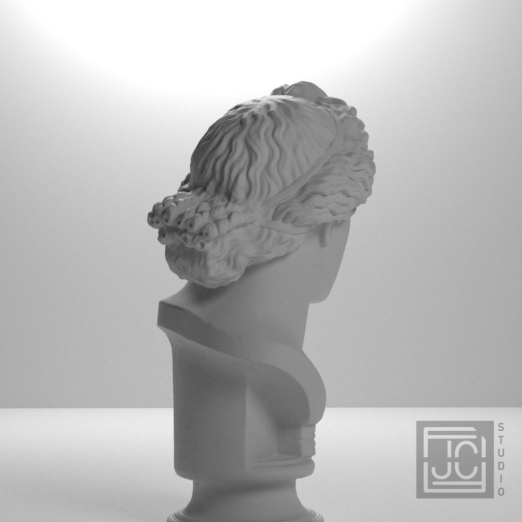 Apollo Lykeios 3D Printed Collectible Bust