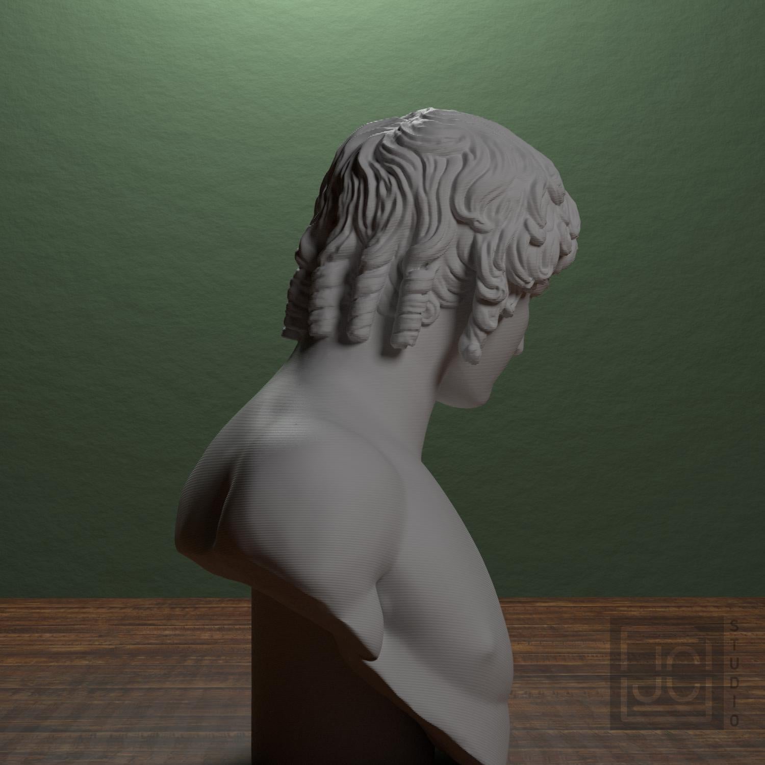 Portrait of Antinous 3D Printed Collectible Bust