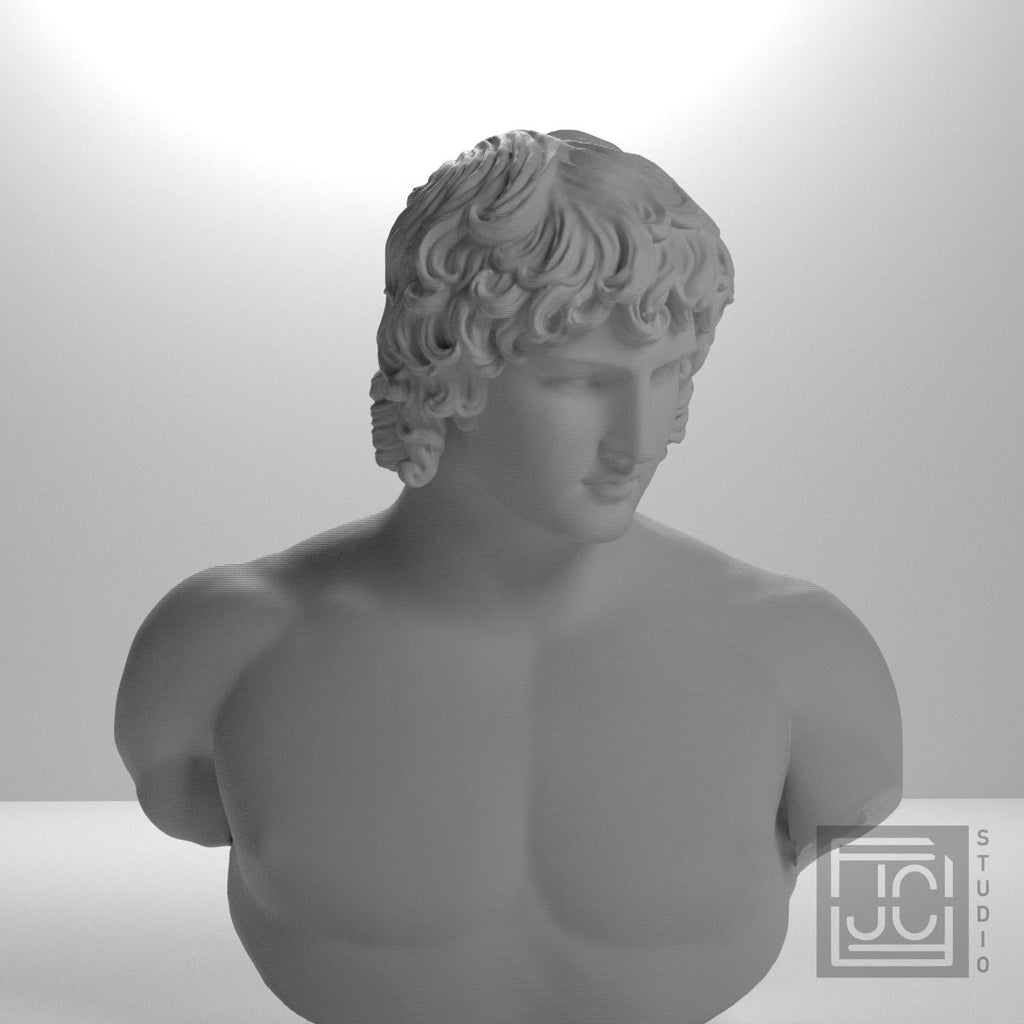 Portrait of Antinous 3D Printed Collectible Bust