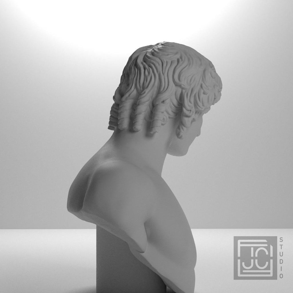 Portrait of Antinous 3D Printed Collectible Bust
