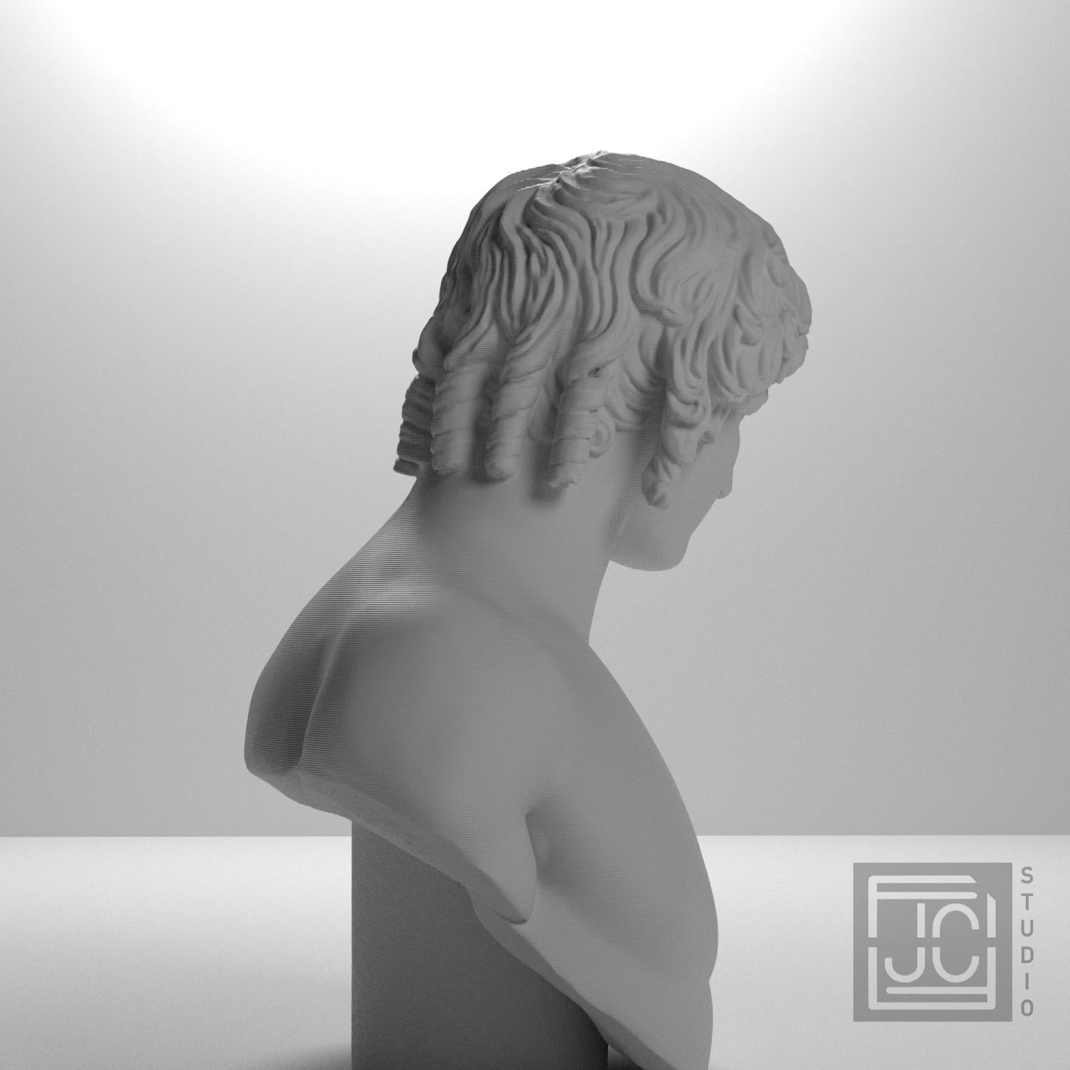 Portrait of Antinous 3D Printed Collectible Bust