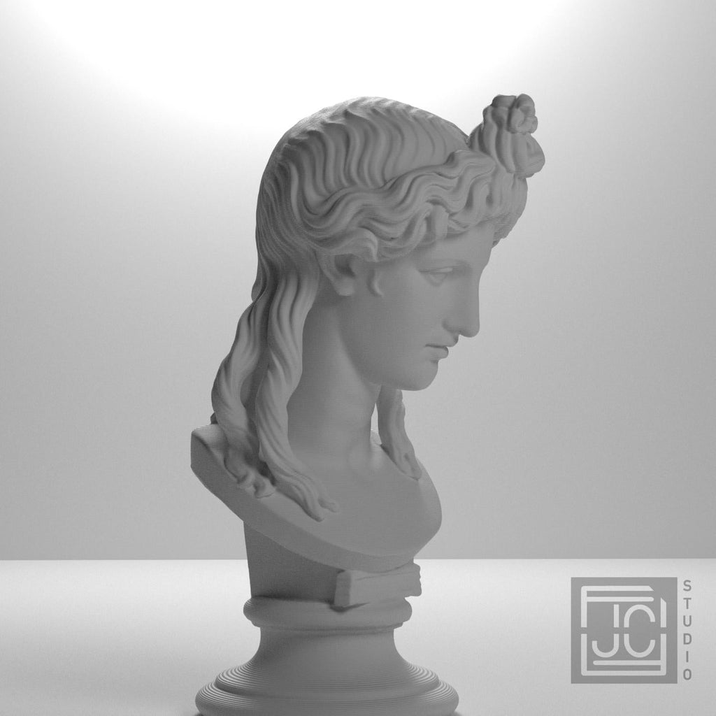 Woman or Apollo Head 3D Printed Museum Replica