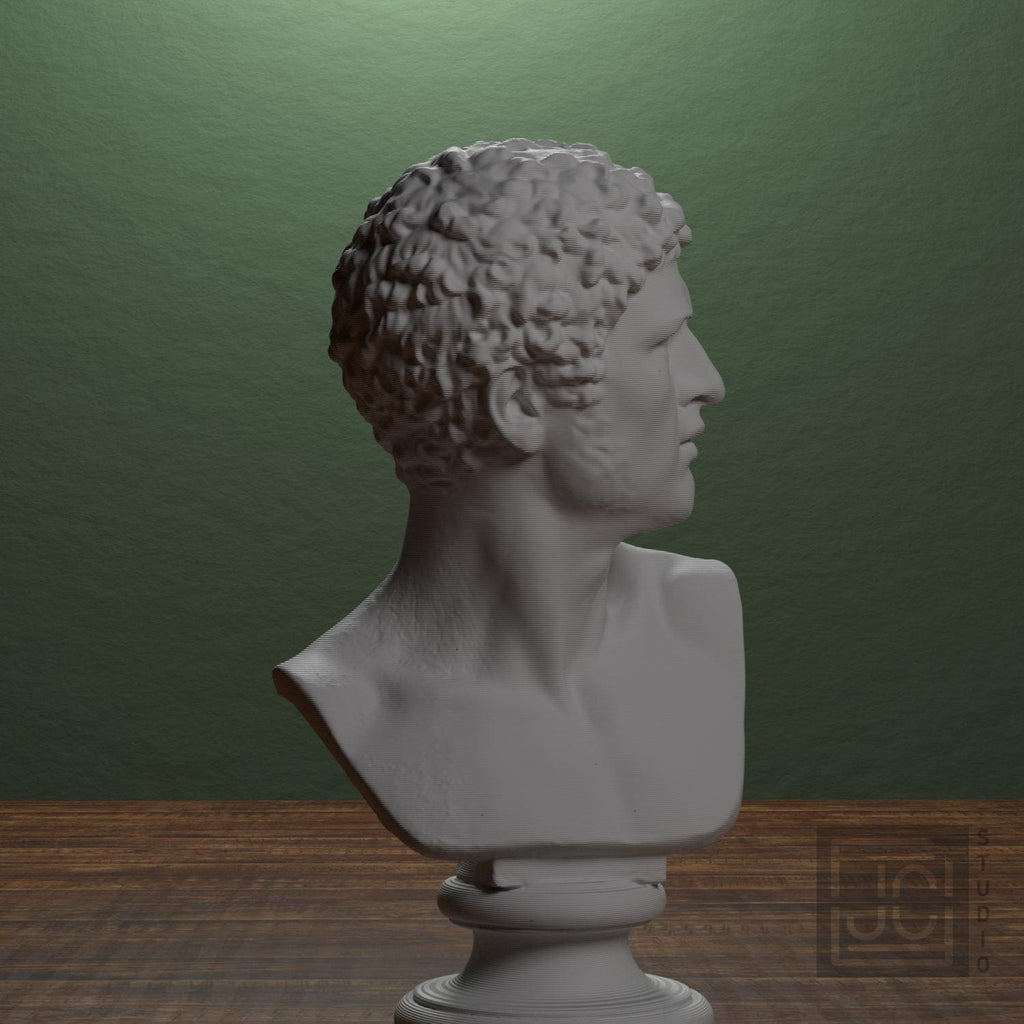 Head of a Man 3D Printed Museum Replica